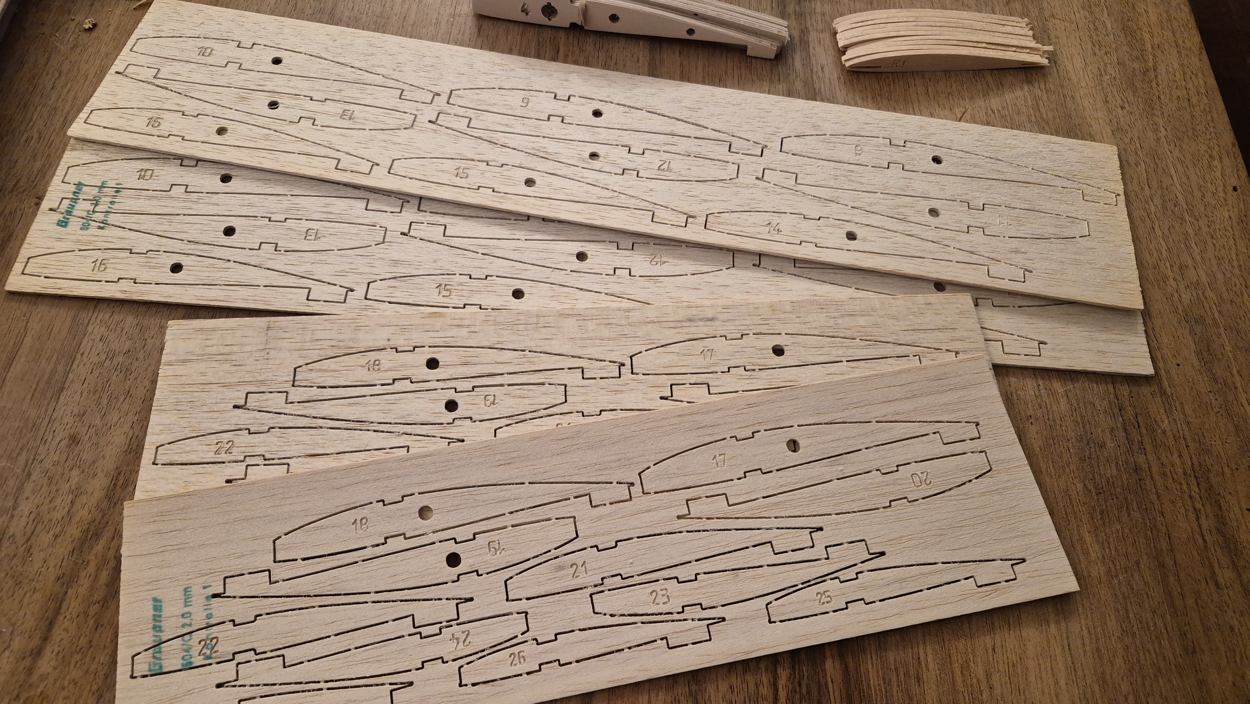 Rippensatz Flugel 1
