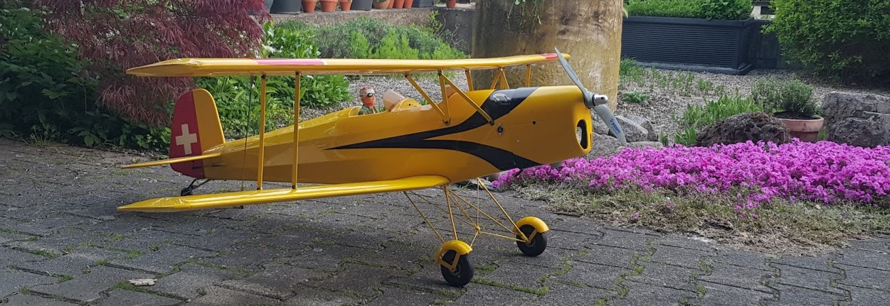 Bucker Jungmann Bu 131 1