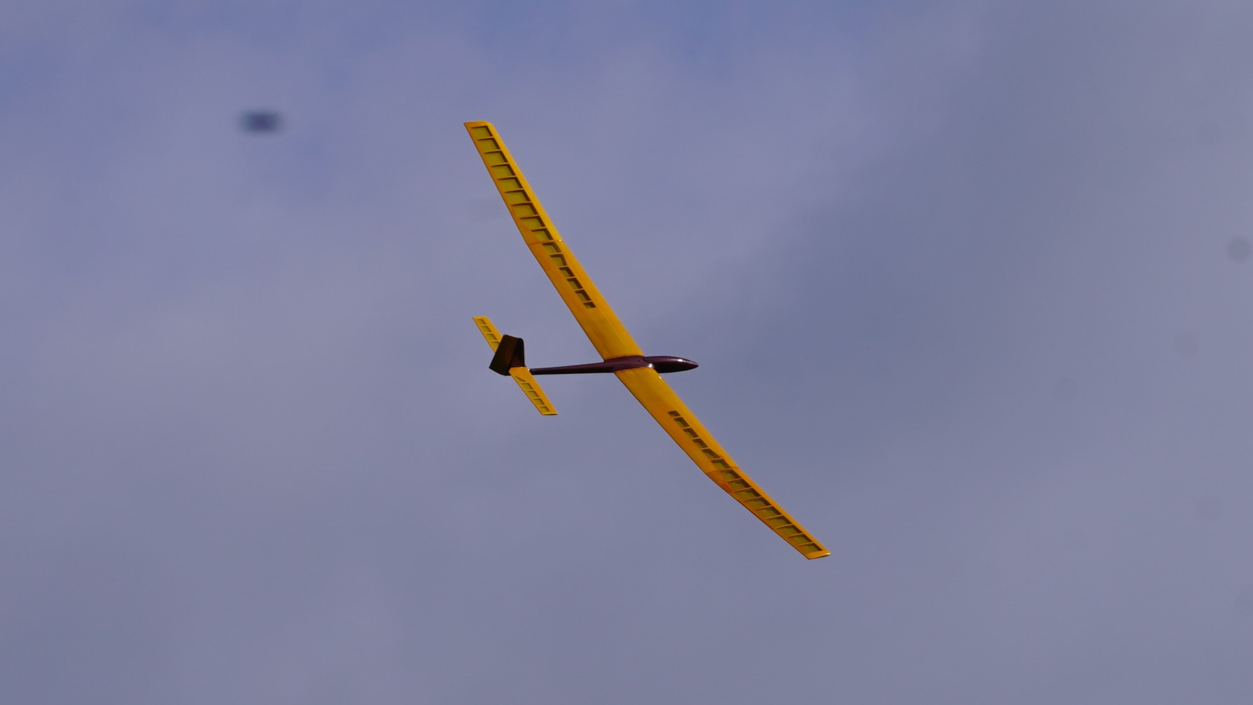 Dynaflite Sensor 117 17