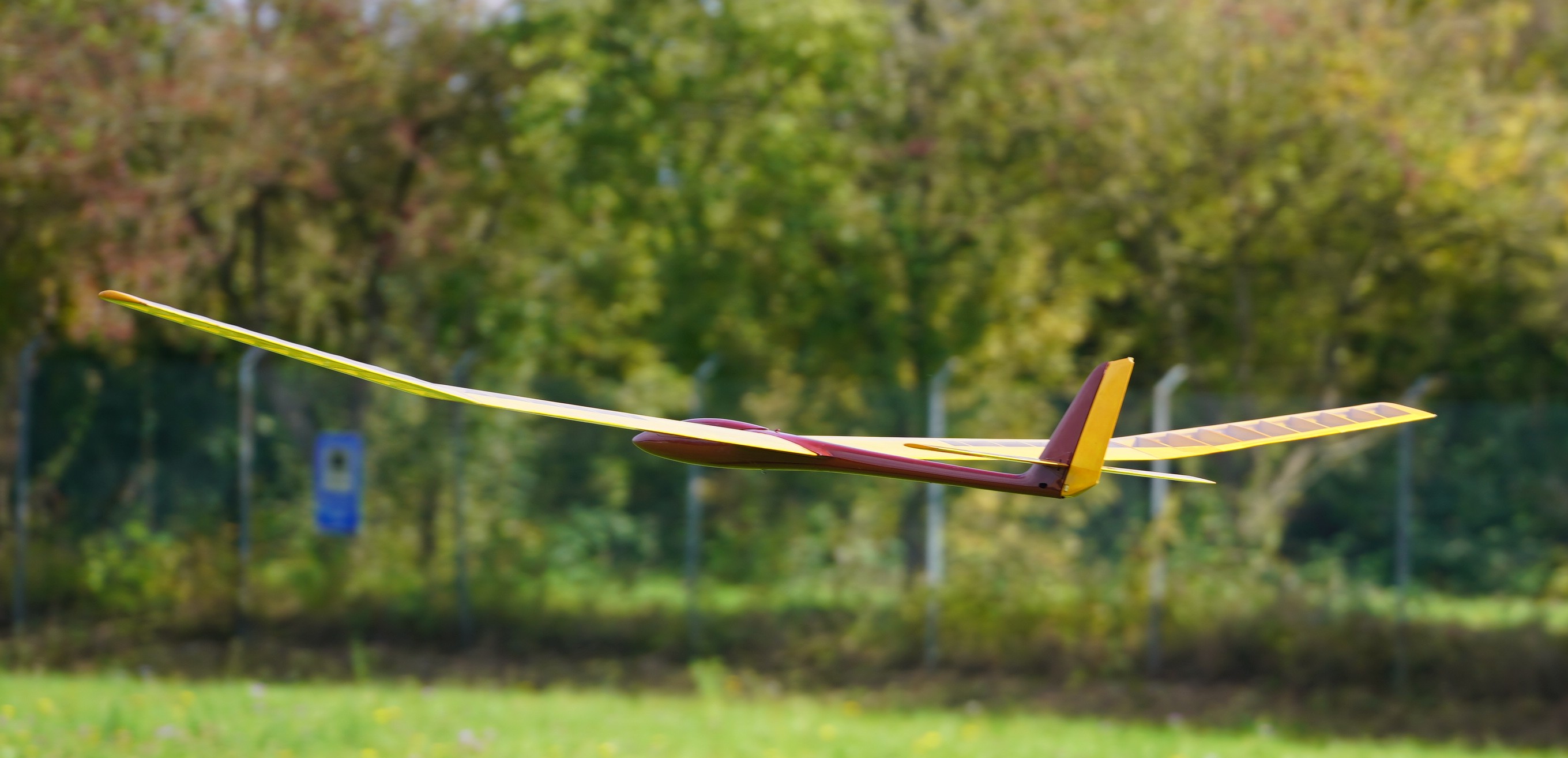 Dynaflite Sensor 117 19