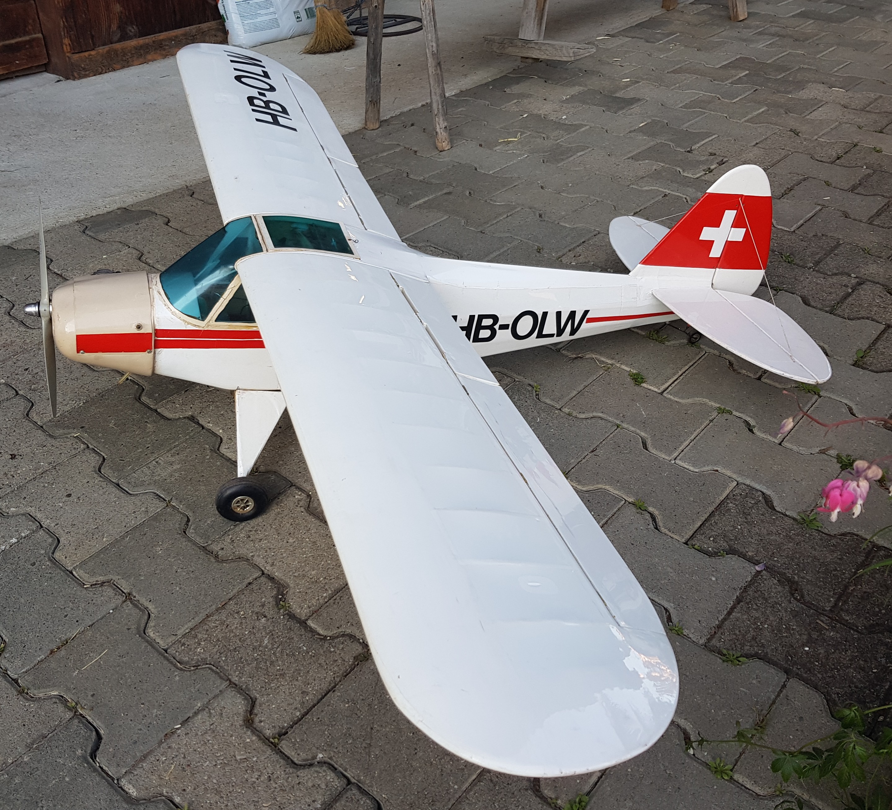HEGI Piper PA 18 10