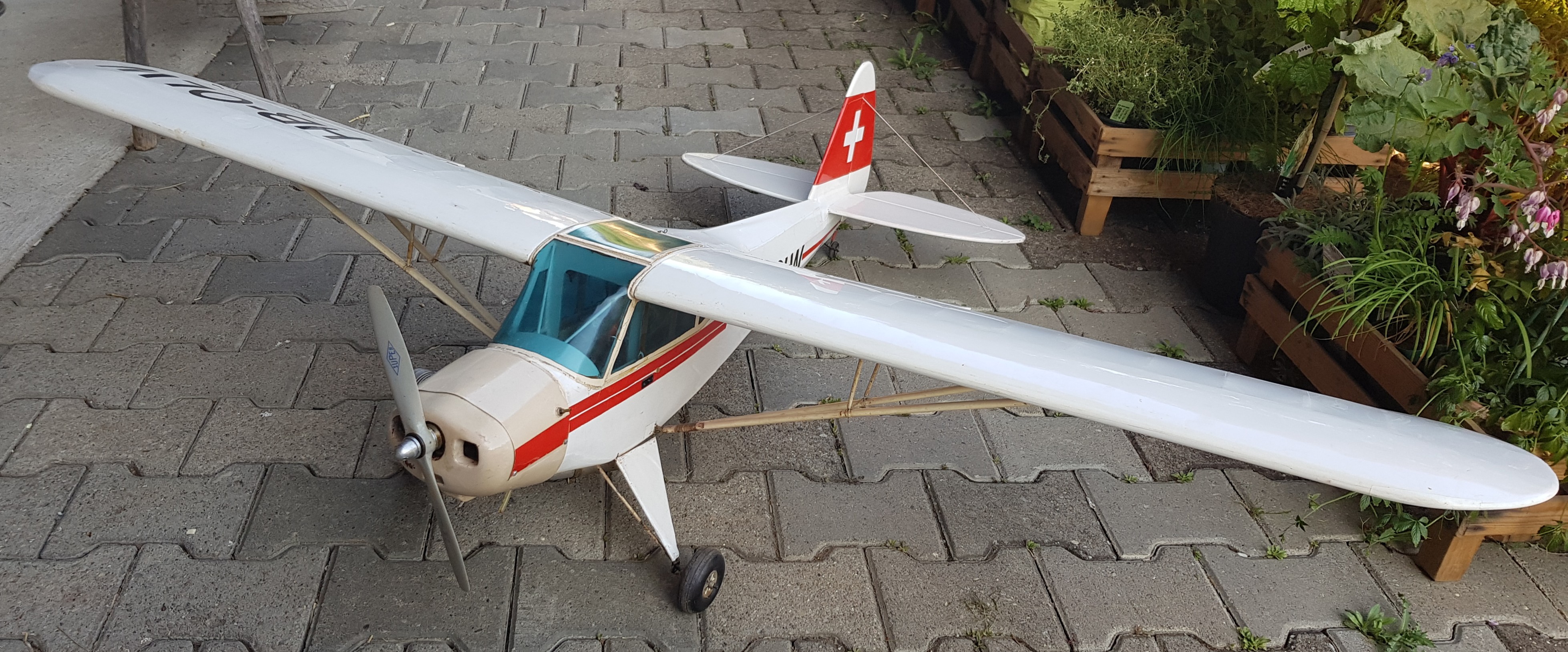 HEGI Piper PA 18 14