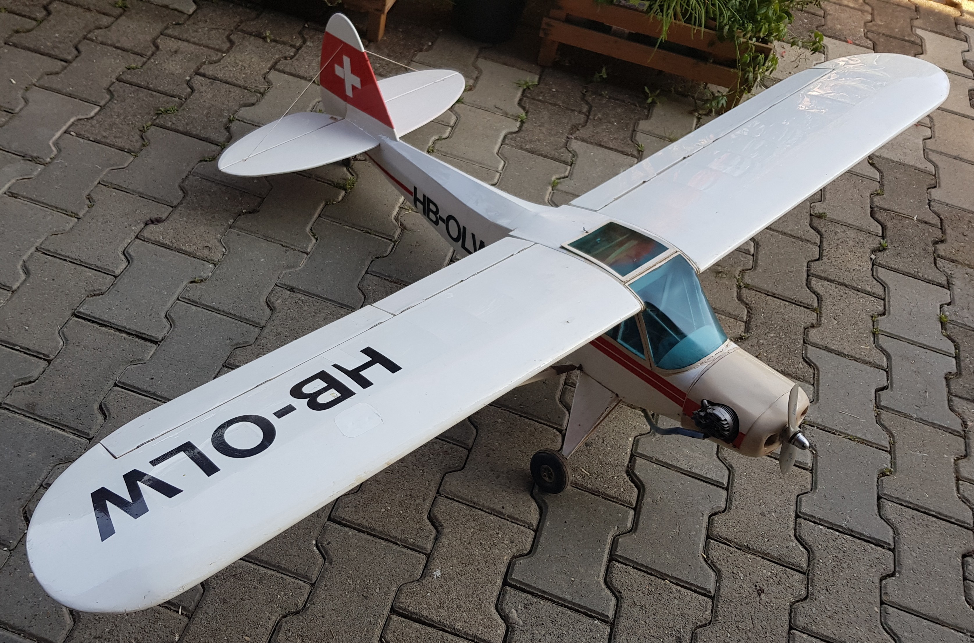 HEGI Piper PA 18 23