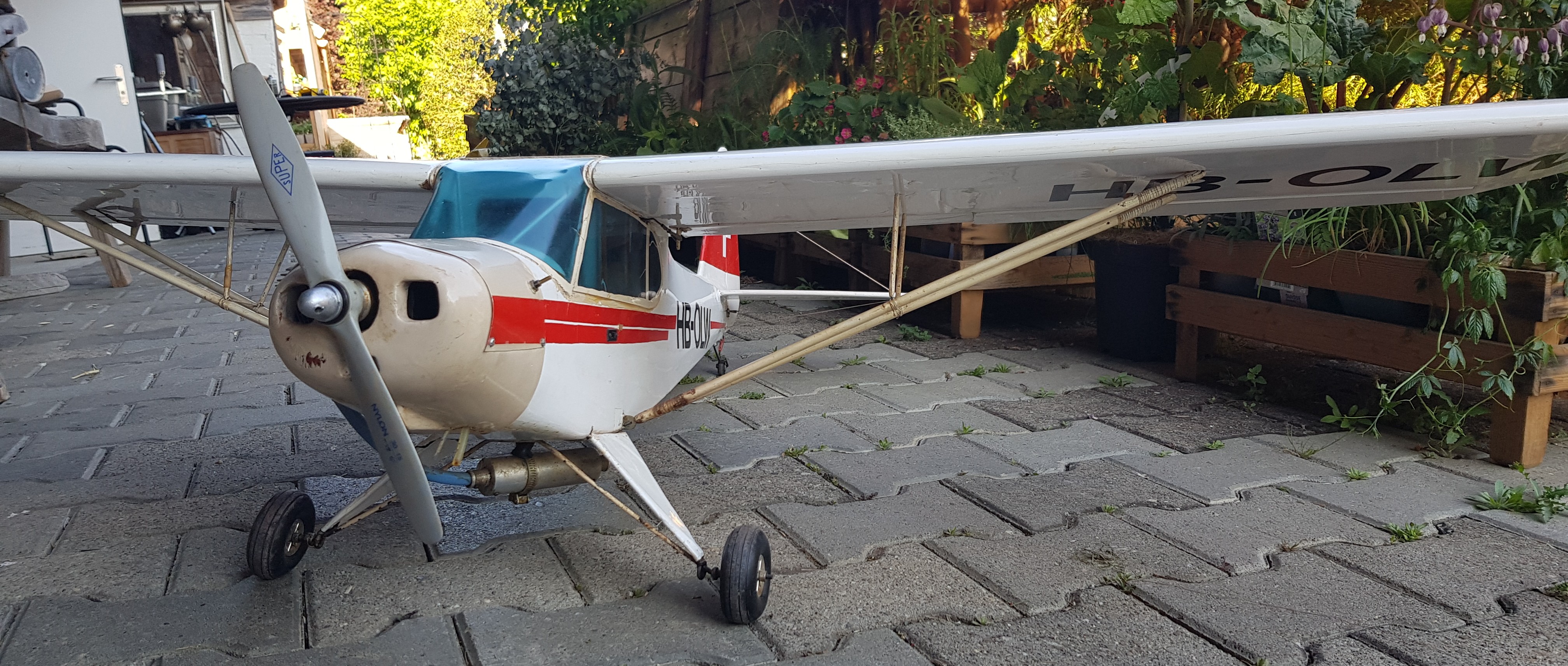 HEGI Piper PA 18 8