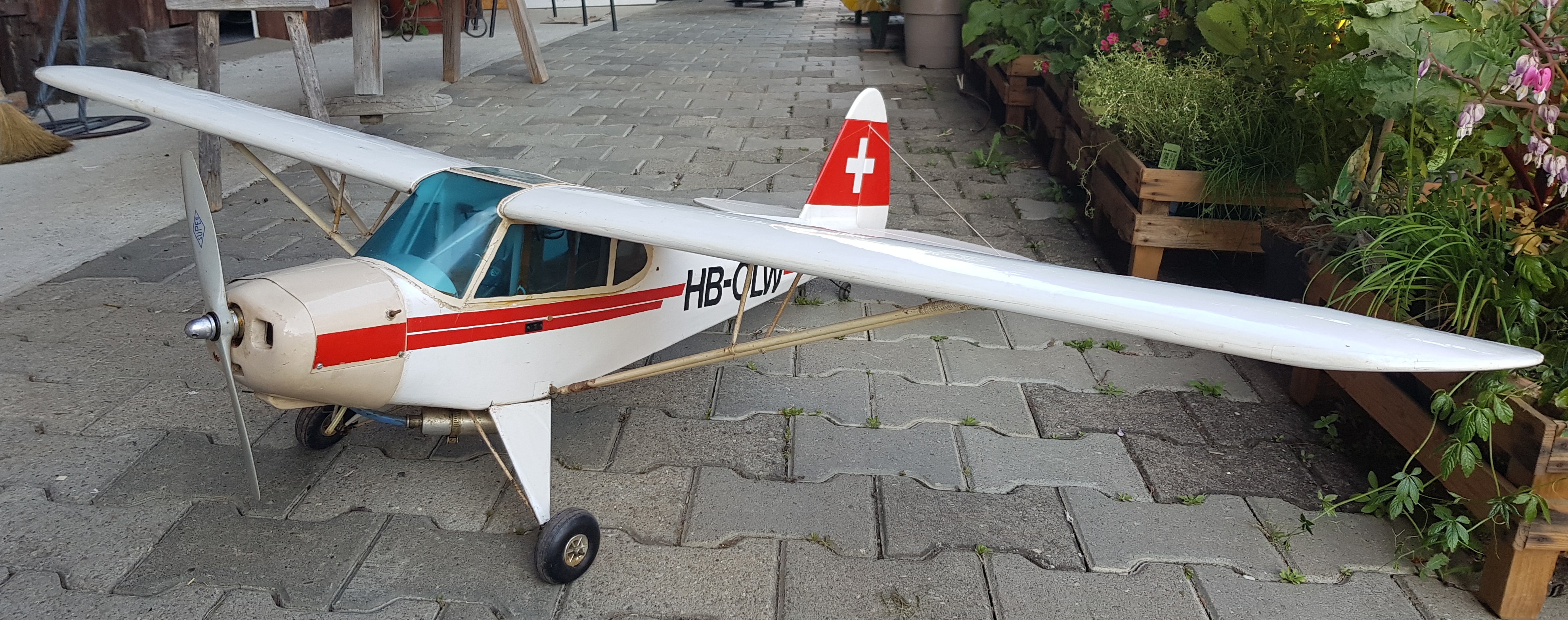 HEGI Piper PA 18 9