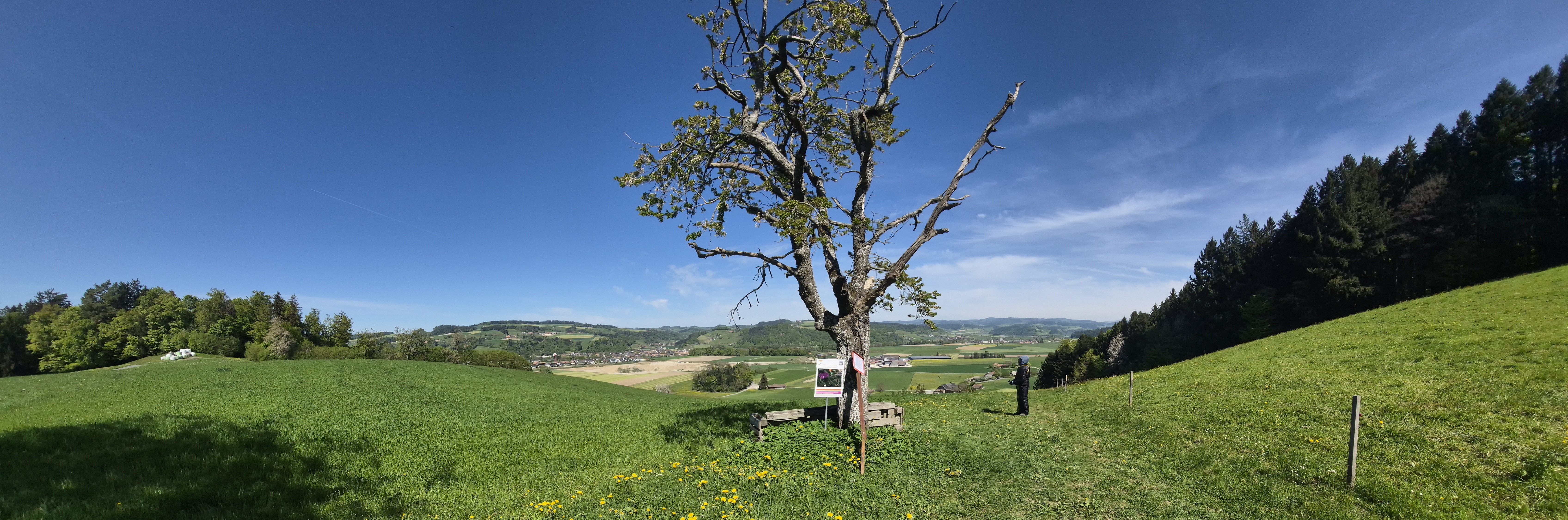 Hangflugebiet Frienisberg